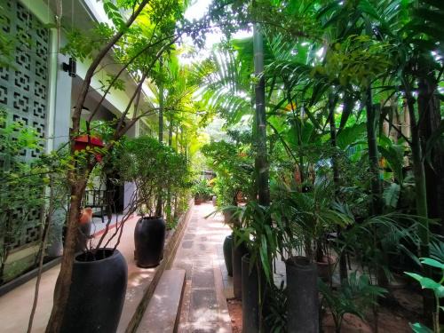 Sangkat Sla Kram Cama Y Desayuno | Green Stay Village