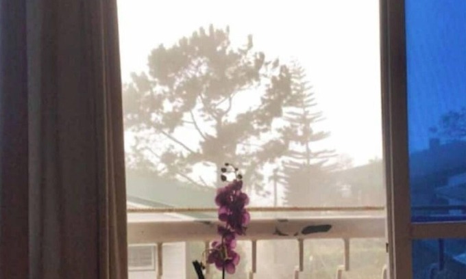 Baguio Apartamento | Green Valley Hideaway+pet friendly+parking+wi-fi