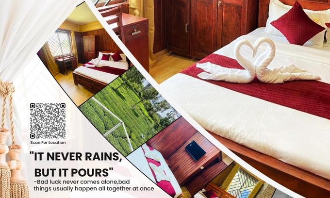 Ooty Casa | Green wood resort