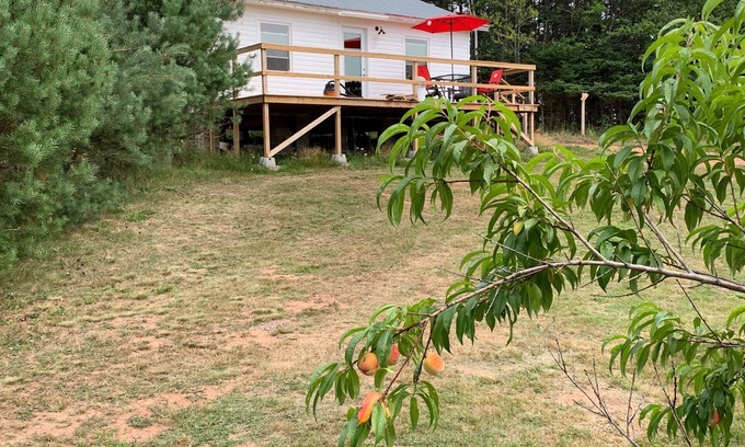 Flat River Cabaña | Grey Bear Cottage
