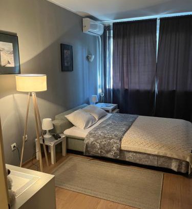 Banovo brdo Apartamento | Grey