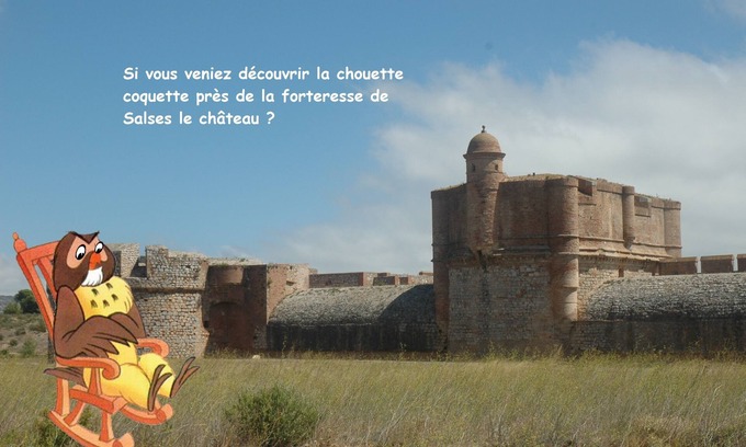 Salses-le-Chateau Cabaña | Planta baja 2/4 pers amplia terraza y jardín privado + Jacuzzi, 15m Mar