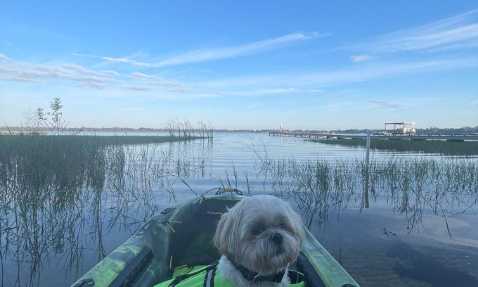 Avon Park Cabaña | Grumpy Old Cabin! Dog Friendly Lake House with Kayaks! Close to GOLF!