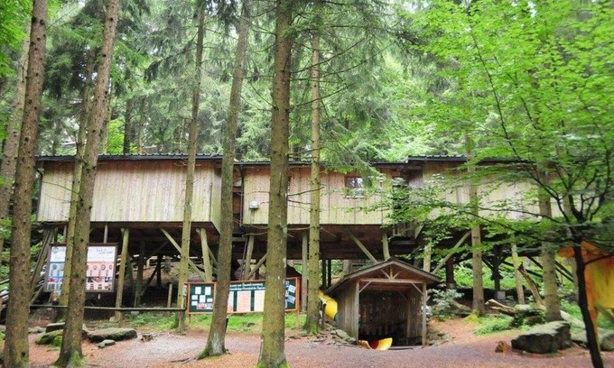 Kopfing im Innkreis Casa | Gruppenbaumhaus - Baumhotel