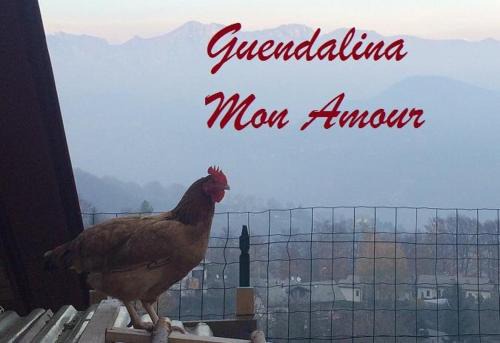 Roncola Apartamento | Guendalina Mon Amour