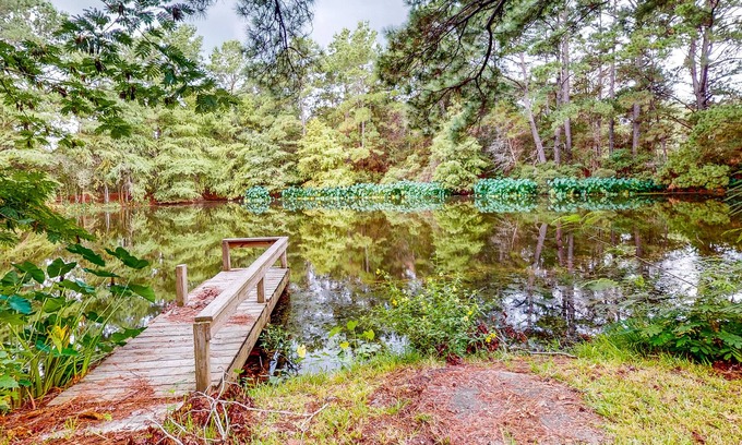 Bellville Cabina | Guest home on 14 acres - vineyards, pond & trails - newly updated kitchenette