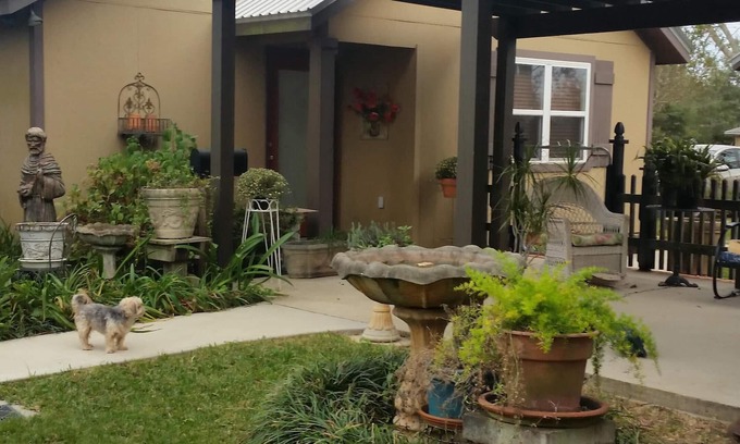 Fairhope Casa | Fairhope Al: Guest House, 1 Br, 1ba, libre de humo, libre de mascotas, solo para adultos, capacidad para 2
