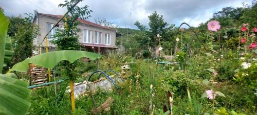 Tsqaltubo Casa | Guest House David