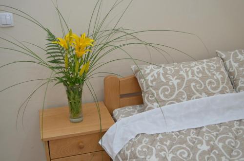 Predejane Casa | Guest House Konak Iris
