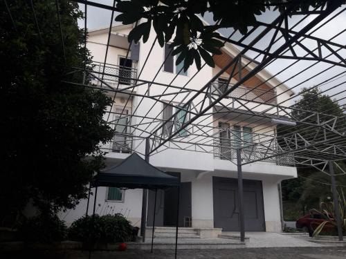 Mtsvane Kontskhi Casa | Guest House Niako