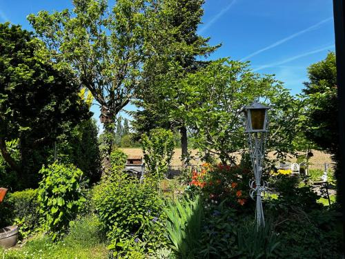 Weißenthurm Apartamento | Guidos Place Souterrain Apartment