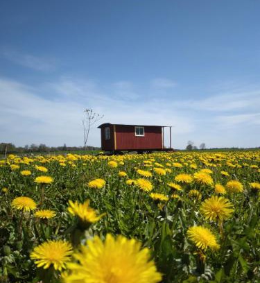 Horby Cama Y Desayuno | Gula Vagnen på en äng i lantlig miljö