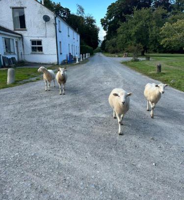 South Tipperary Casa | Gurteen farm house