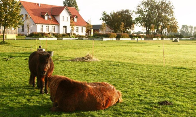 Stahlbrode Casa | Gutshaus Landwert Hof