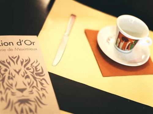 Meximieux Hotel | Hôtel Brasserie Le Lion d'Or