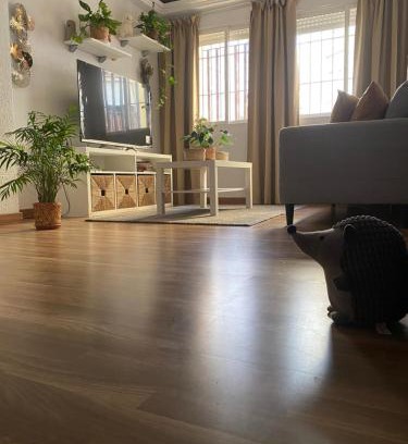 Poligono Norte Casa | habitacion acogedora con limpieza incluida- buena conexion