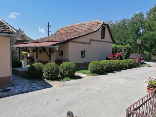 Palic Apartamento | Hacijenda MALI RAJ