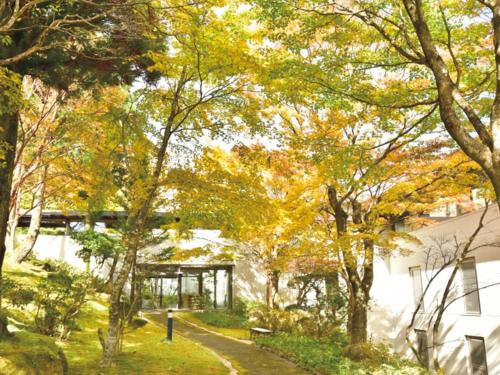 Ashinoyu Hotel | Hakone Yunohana Prince Hotel