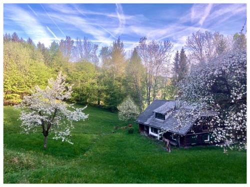 Neukirchen bei Altmunster Chalet De Esquí | Halthäusl - auf der Alm