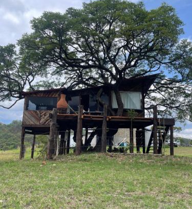 Temascaltepec de Gonzalez Otro | Hangar 5 La Casita del Arbol