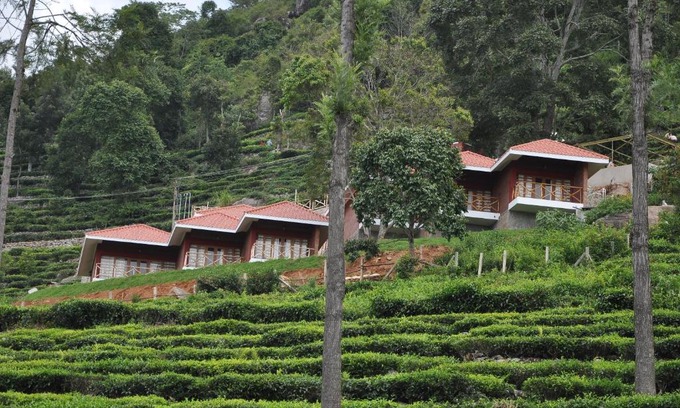 Kotagiri Complejo | Hanging Huts Resorts