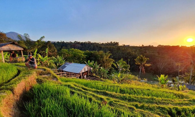 Penebel Cabina | Hara Bali Eco Homestay