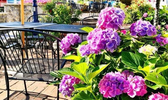Put-in-Bay Casa | Harbour Square Suites