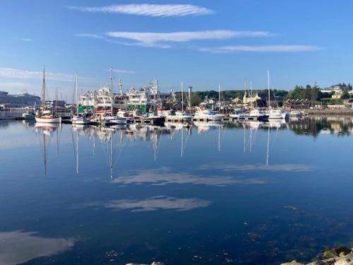 Killybegs Casa | Harbour View