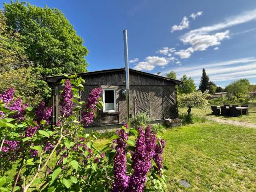 Joachimsthal Apartamento | Haus 8 am Grimnitzsee mit Sauna