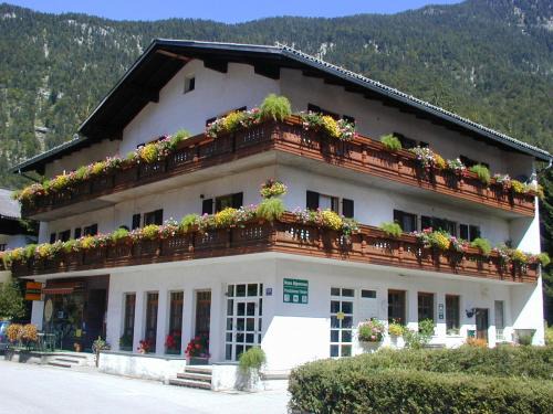 Obertraun Casa | Haus Alpenrose