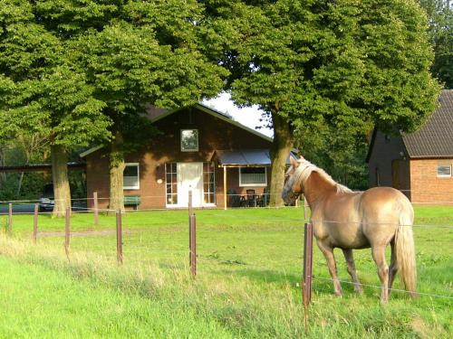 Papenburg Apartamento | Haus Eichengrund