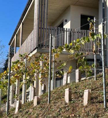 Oberhaag Casa | Haus Nebel