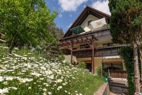 Waischenfeld Apartamento | Haus Wiesenttal