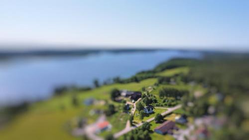Kalv Casa | Havsörn
