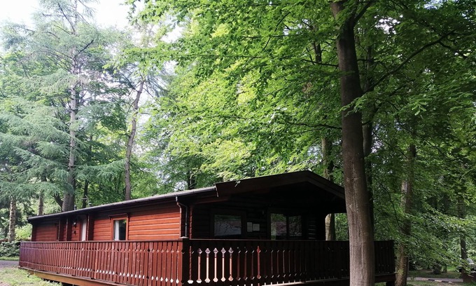 Kenwick Cabina | Hawthorn Lodge - Woodland Lodge with hot tub
