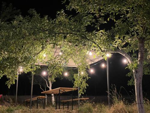 Vusanje Casa | Heaven Retreat