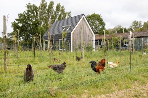 Aagtekerke Casa | Hello Zeeland - Vakantiewoning Kalfhoeksepad 8