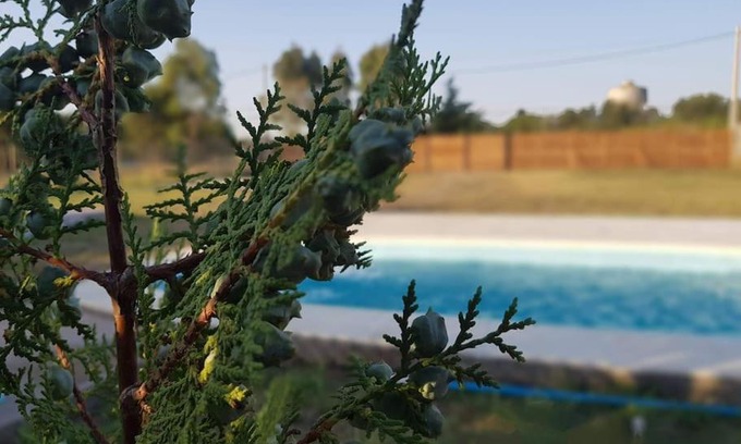 Pigue Apartamento | Hermoso alojamiento temporario LA SOÑADA