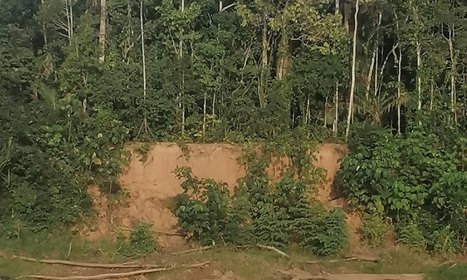 Tambopata Cabaña | Hermoso lodge privado en el amazonas