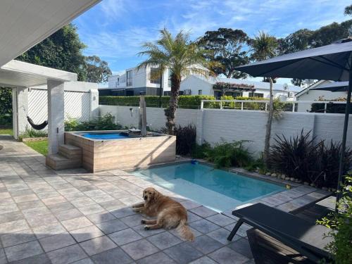 Knysna Casa | Herons House