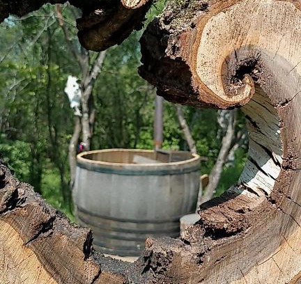 Vultureni Otro | Hidden Garden Kide(Chidea)