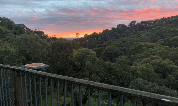 Anakie Cabina | Hidden Valley House, 18 acres de matorral privado