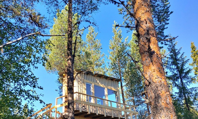 Arvidsjaur Casa | High in the trees in northern Sweden with lake views and moose under the terrace