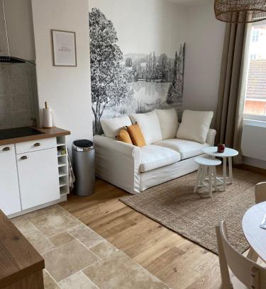 Saint-Laurent-sur-Saone Apartamento | Hilo Charming Appartment Saint Laurent Sur Sane