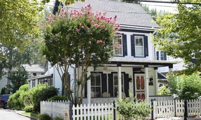 Village Green Casa | Historic cottage on tree lined Washington Street - Pet Friendly!! Fenced yard