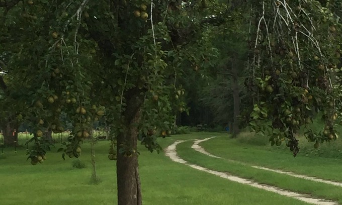 Bristol Casa | STAGECOACH RD HISTÓRICO, LA GRANJA FORESTAL DE LOBLOLLY SE QUEDA CERCA DEL PEQUEÑO RÍO DE SATILLA
