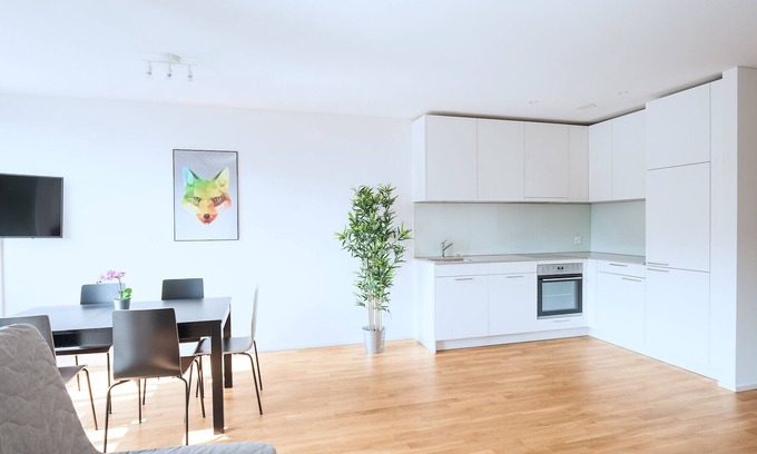 Basel City Centre Apartamento | Hitrental Basel Apartments