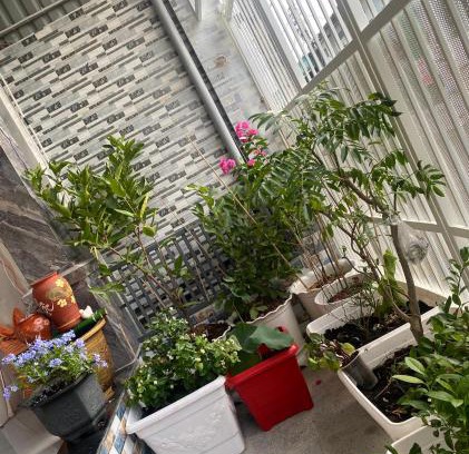 Dat Do Casa | Hiwinwin Homestay Holiday