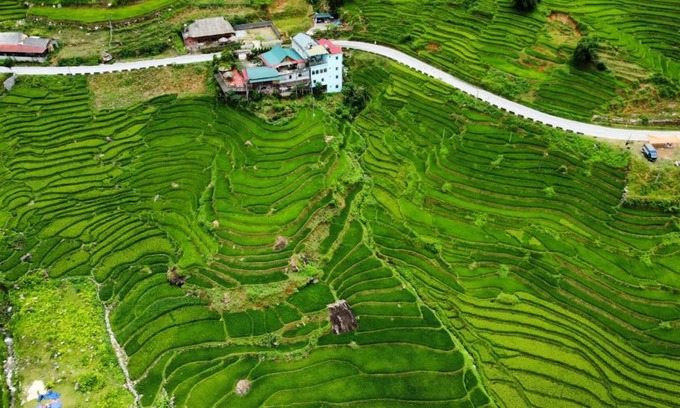 Hau Thao Casa | Hoa's homestay Sapa