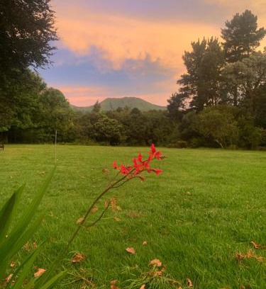 Hogsback Casa | Hogsview